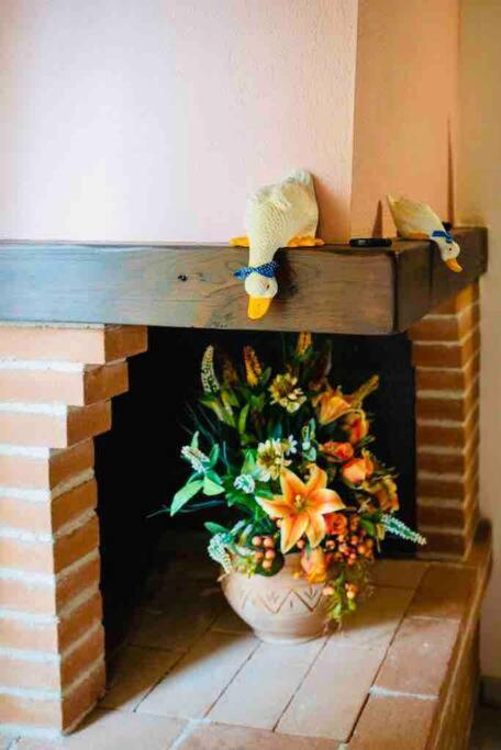 サトゥルニアA Casa Di Claudiaアパートメント エクステリア 写真
